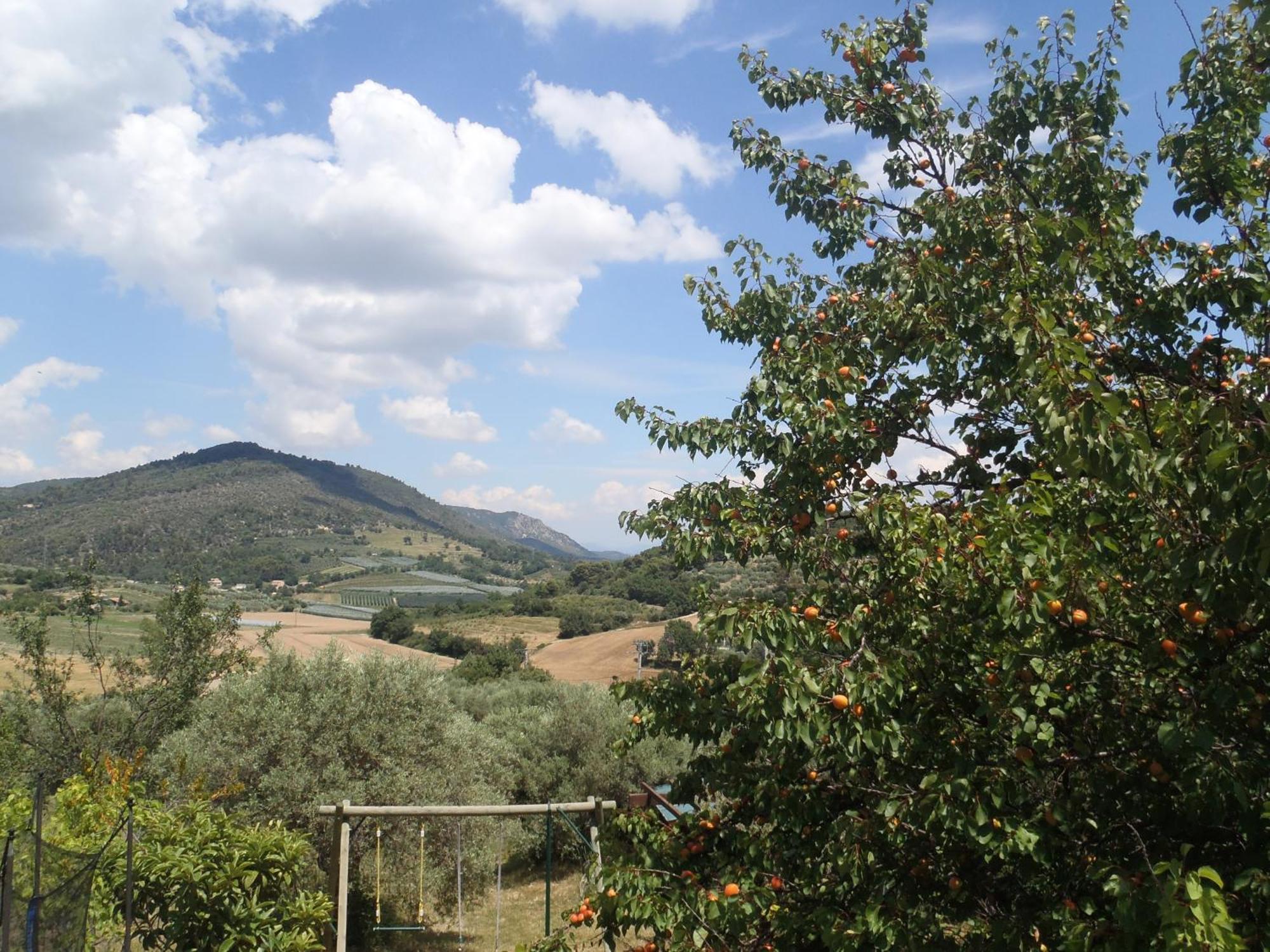 Apartamento Les Chevrefeuilles